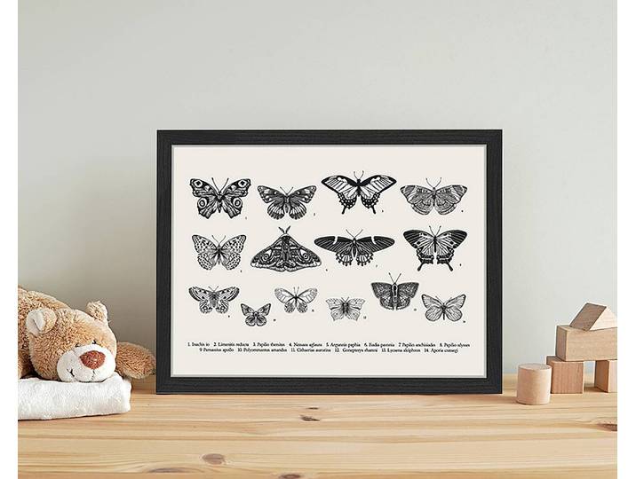 Tableau déco Butterfly Collection 33 x 43cm Multicolore
