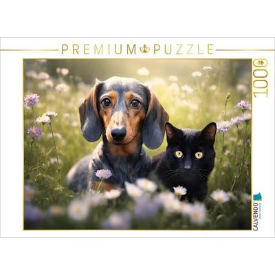 CALVENDO Puzzle Dackel und eine schwarze Katze faulenzen auf einer Blumenwiese | 1000 Teile Lege-Größe 64 × 48 cm Foto-Puzzle für glückliche Stunden,
