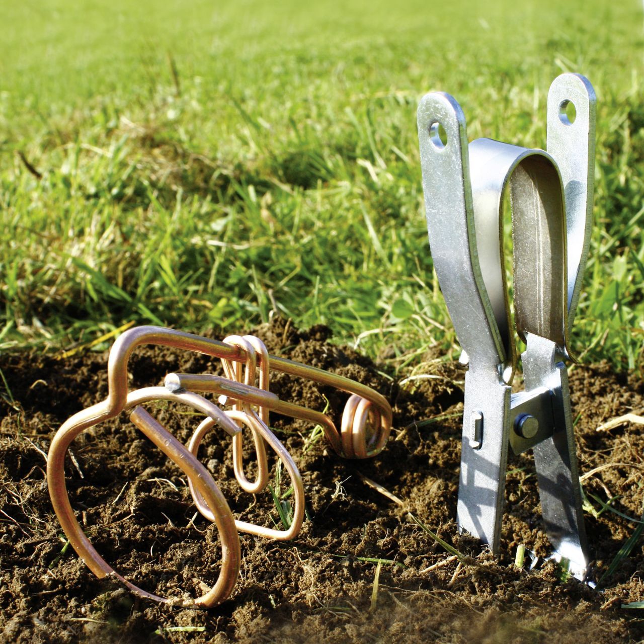 Swissinno Zangen-Wühlmausfalle