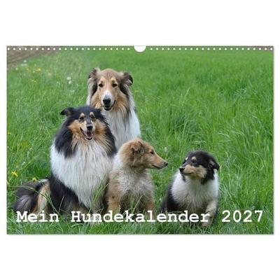 Mein Hundekalender 2027 (Wandkalender 2027 DIN A3 quer), CALVENDO Monatskalender