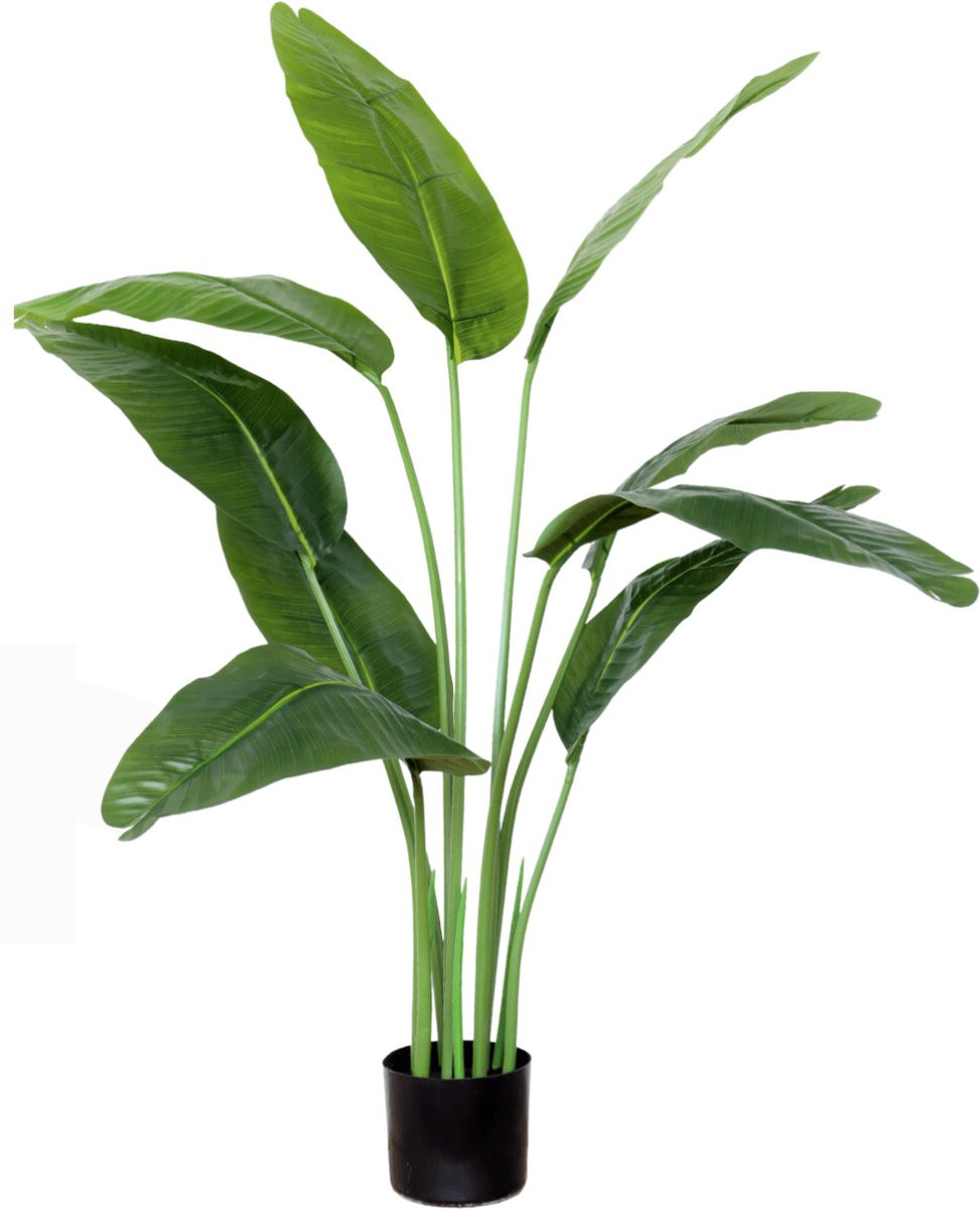 PrettyPlants Bananen Kunstplant, 120 cm, Groen