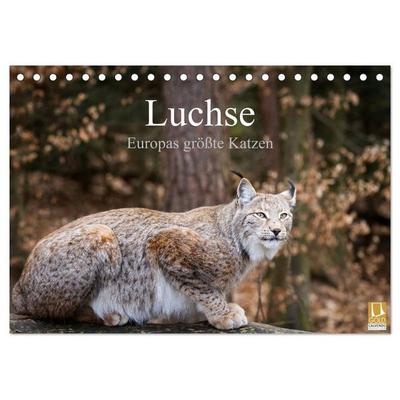 Luchse - Europas größte Katzen (Tischkalender 2027 DIN A5 quer), CALVENDO Monatskalender