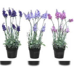 Decoris 1 Künstlicher Lavendel 38cm im Topf Kunstpflanze Lavendelpflanze Topfpflanze Frühlingsdeko Osterdeko Sommerdeko Violett Lila Flieder