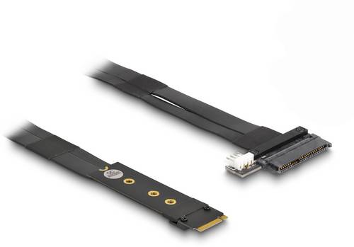 Delock 64216 Serielle/Parallele Steckkarte M.2, U.2 PCIe
