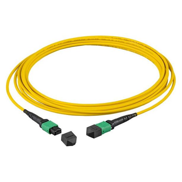 EFB Elektronik MTP-F/MTP-F 48-Fasermatrix Patchkabel OS2 LSZH gelb, Code A, 5m (5 m) (MTPF48MTPFOS2-5-A)