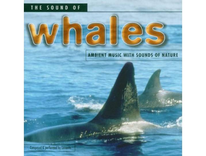 The Sound of Whales