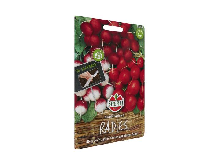 Sperli Radieschen Riesenbutter
