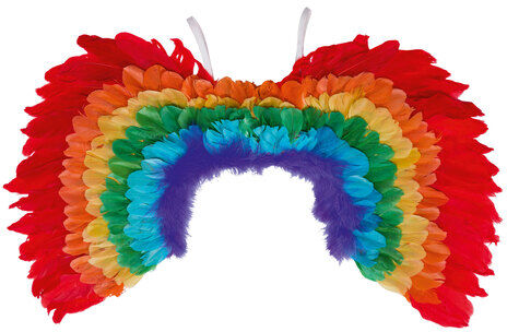 Feder-Flügel "Regenbogen", 60 x 40 cm