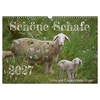 Schöne Schafe (Wandkalender 2027 DIN A3 quer), CALVENDO Monatskalender