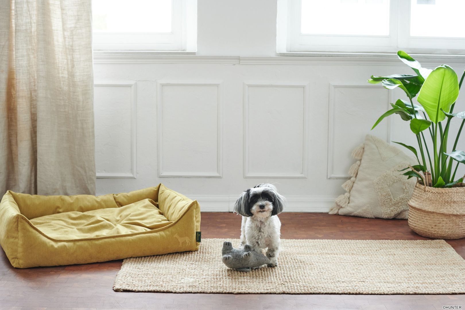 DOG SPORT HUNTER Hundesofa Eiby L (100 x 70 cm), gelb