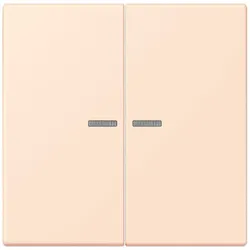 Jung Wippe mit Lichtleiter LC 102 KO5 226