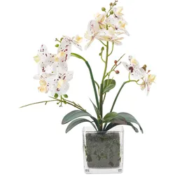 KUNSTBLUME Orchidee weiß-pink im Glas-Topf, 42 cm