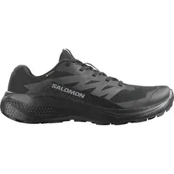 SALOMON Herren Trailrunningschuhe SHOES ALPHAGLIDE GTX Black/Asphalt/Black, Größe 42 2⁄3 in Grau Grau