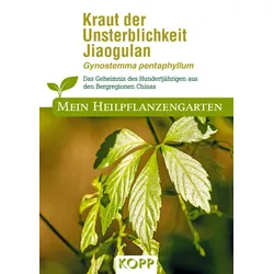 Kraut der Unsterblichkeit Jiaogulan - Mein Heilpflanzengarten