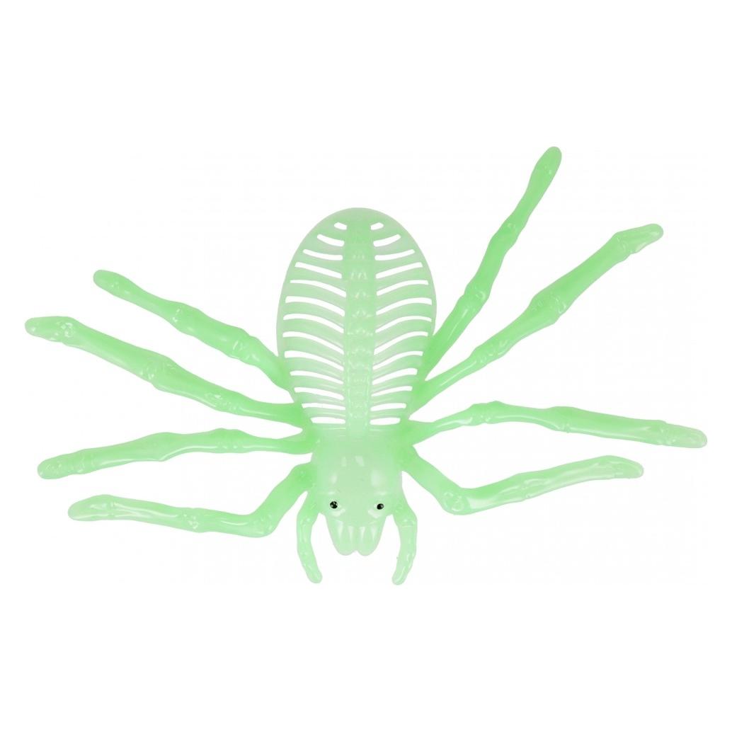 Creative Spinne fluoreszierend 21x12 mc 54/864 (68215358)