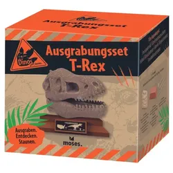 Moses Dino Ausgrabungsset T-Rex