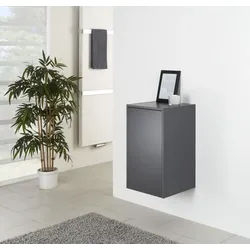 Pelipal Universelle Einzelmöbel Pelipal Highboard EM-HB43-01, B:432, H:720, T:410mm EM-HB43-01