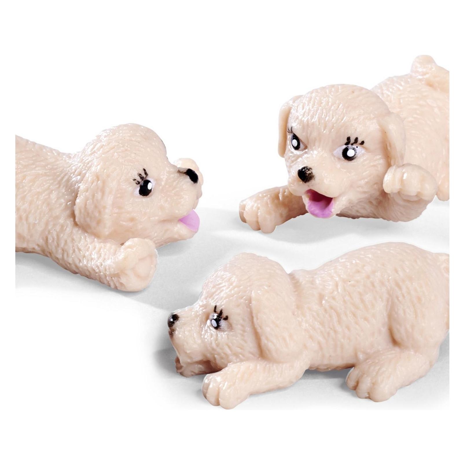 Simba EL Puppy Doctor (105733647)