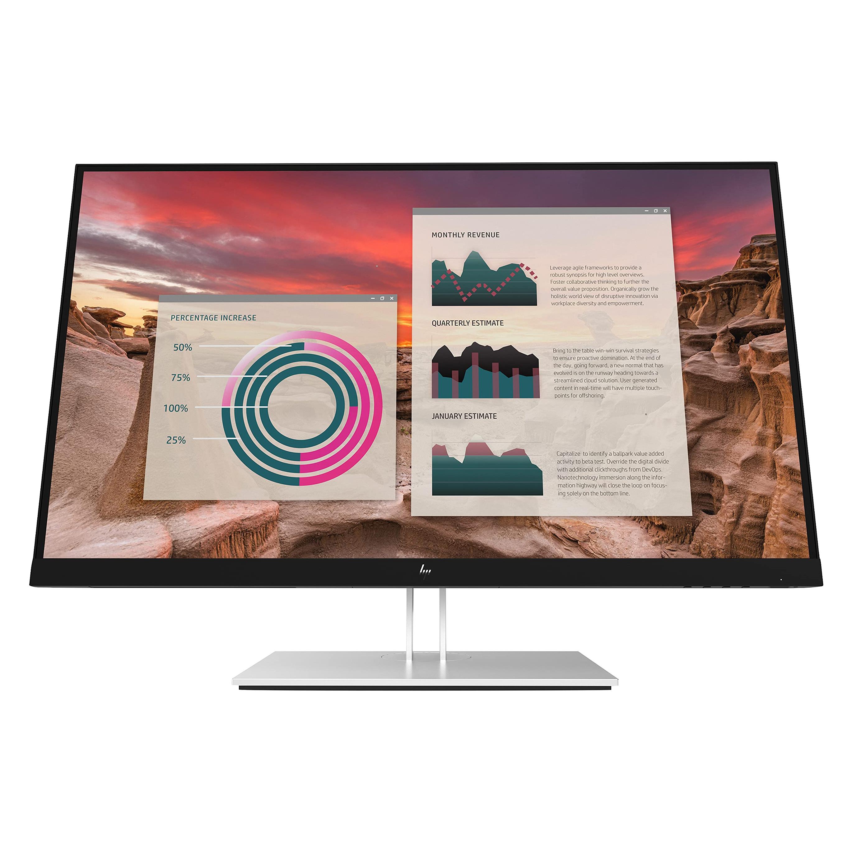 HP E24m G4 64.45cm 24inch IPS (1920 x 1080 Pixel, 23.80") (40Z32AA#ABB)