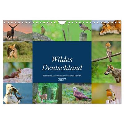 Wildes Deutschland (Wandkalender 2027 DIN A4 quer), CALVENDO Monatskalender