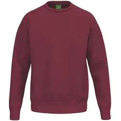 erima Teamsport Sweatshirt Herren new bordeaux S
