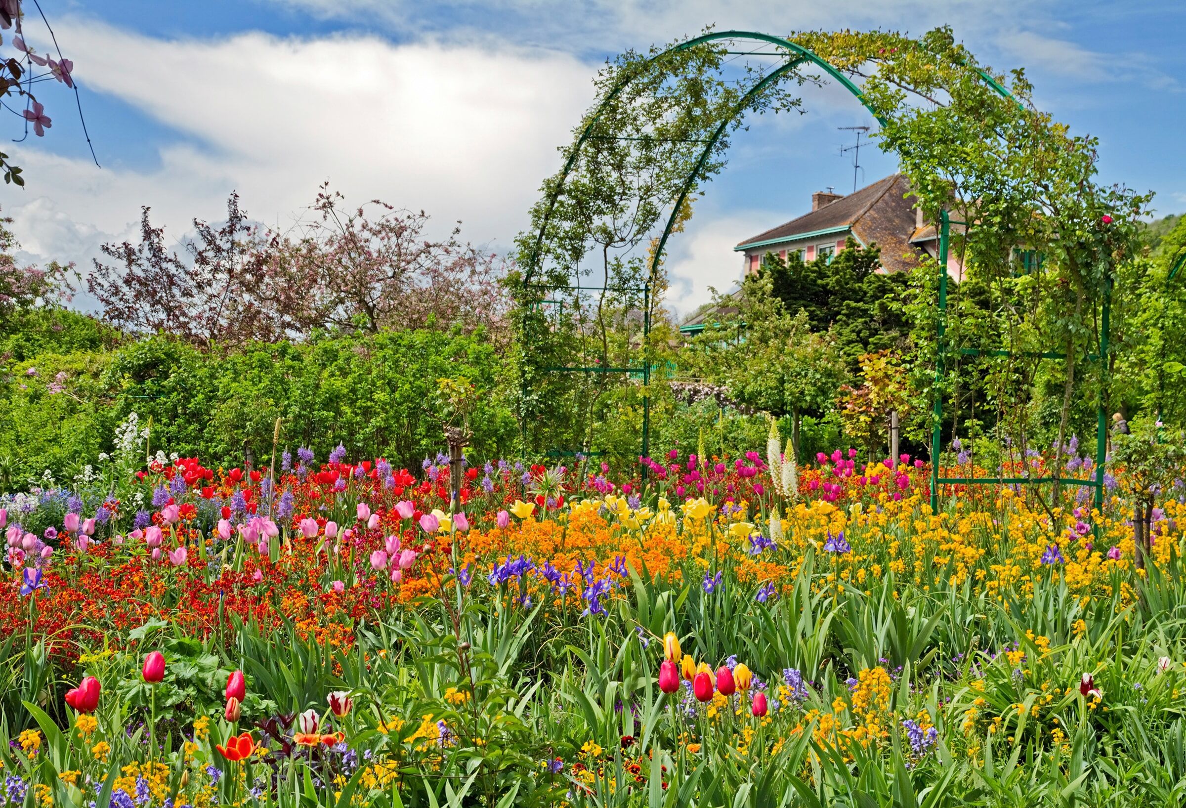 Papermoon "GARTEN MONET-BLUMEN BÄUME PFLANZEN PARK STEINE BLÜTEN" bunt B/L: 4m x 2,6m, Bahnen: 8 Stk.