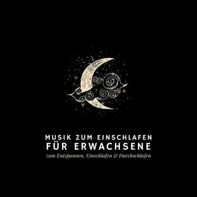 Musik zum Einschlafen - Musik zum Einschlafen, Audio, 4099995464559
