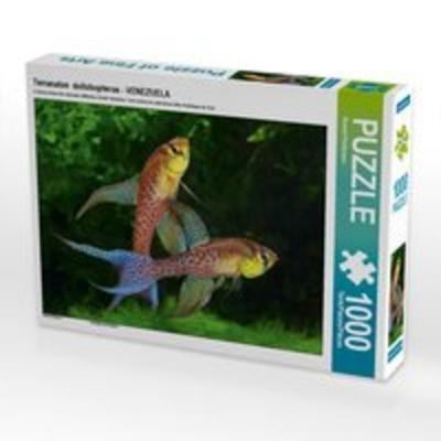 CALVENDO Puzzle Terranatos dolichopterus - VENEZUELA 1000 Teile Lege-Größe 64 x 48 cm Foto-Puzzle Bild von Rudolf Pohlmann