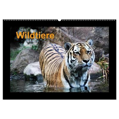 Wildtiere (Wandkalender 2027 DIN A2 quer), CALVENDO Monatskalender