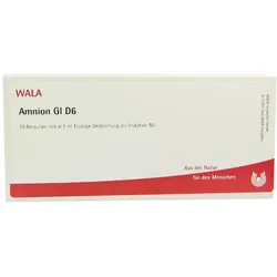 Amnion GL D 6 Ampullen 10X1 ml