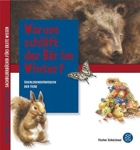 Gyeong-Hwa Kim - Kleine Entdecker - Warum schläft der Bär im Winter?: Überlebensstrategien der Tiere - Preis vom 30.09.2026 22:30:23 h
