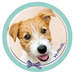 McNeill McAddys Haustiere Hund grün