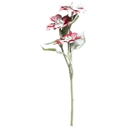 Chic Antique Fleur Weihnachtsstern mit Schnee und Glitzer, L63 cm, antique cherry