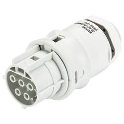 Wieland Electric 96.051.6053.0 Geräteanschluss