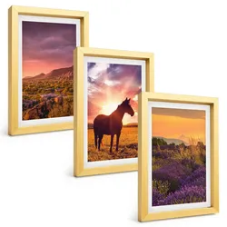 BILDER SET 3er Set - 20x30 cm Goldrahmen - Berglandschaft mit einem Pferd