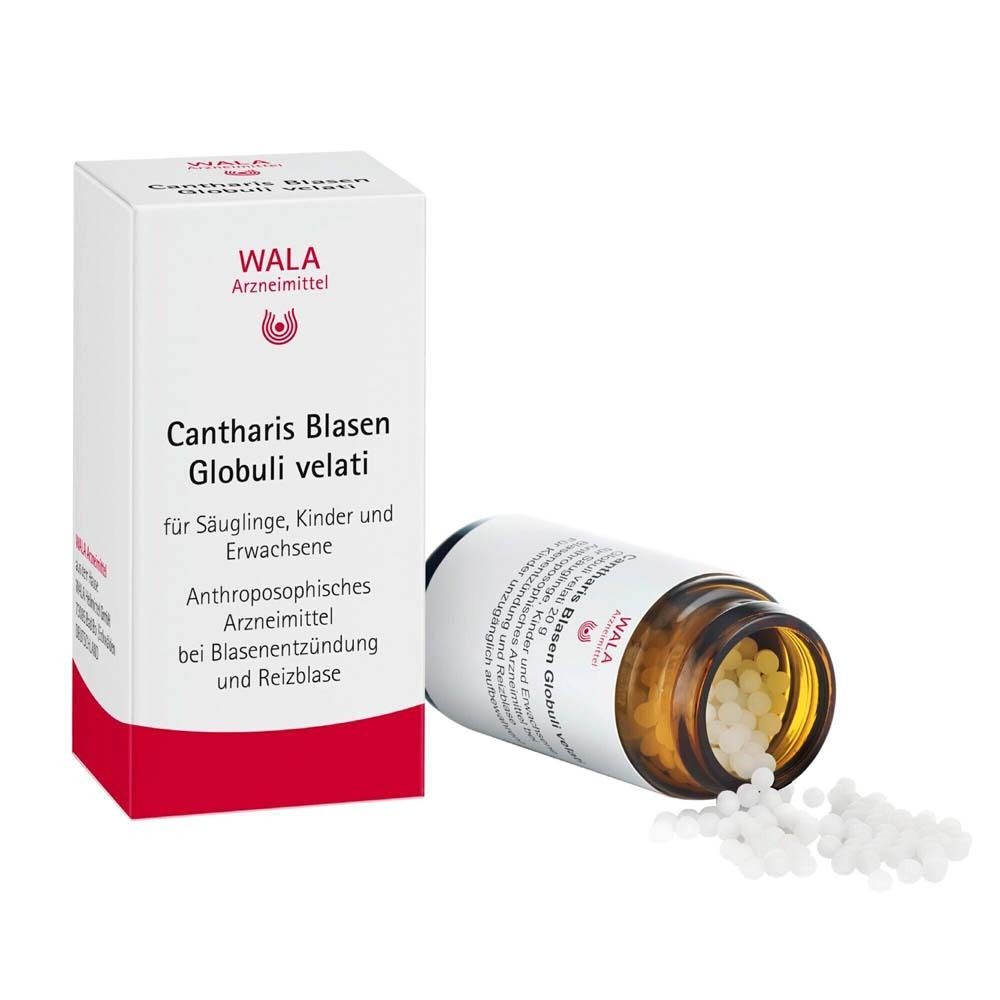 Cantharis Blasen Globuli velati 20 g