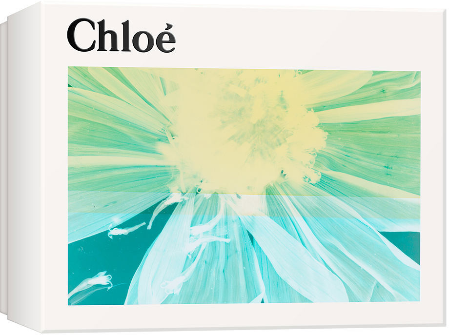 Chloé Étui Nomade 3 pièces