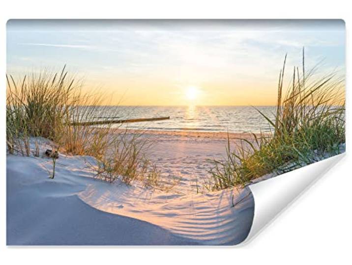 Muralo Fototapete Strand, Meer, Dünen, Sonne, Himmel, Wasser - 520x318 cm