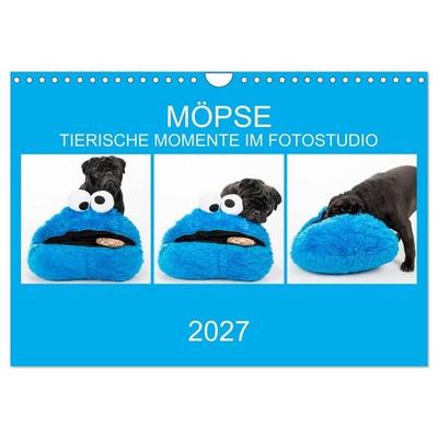 MÖPSE - tierische Momente im Fotostudio (Wandkalender 2027 DIN A4 quer), CALVENDO Monatskalender