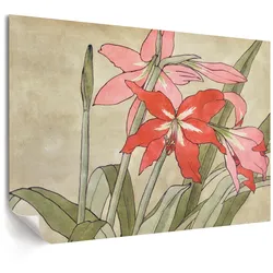 POSTER - 59x42 cm (A2) - Hannah Borger Overbeck - Amaryllis
