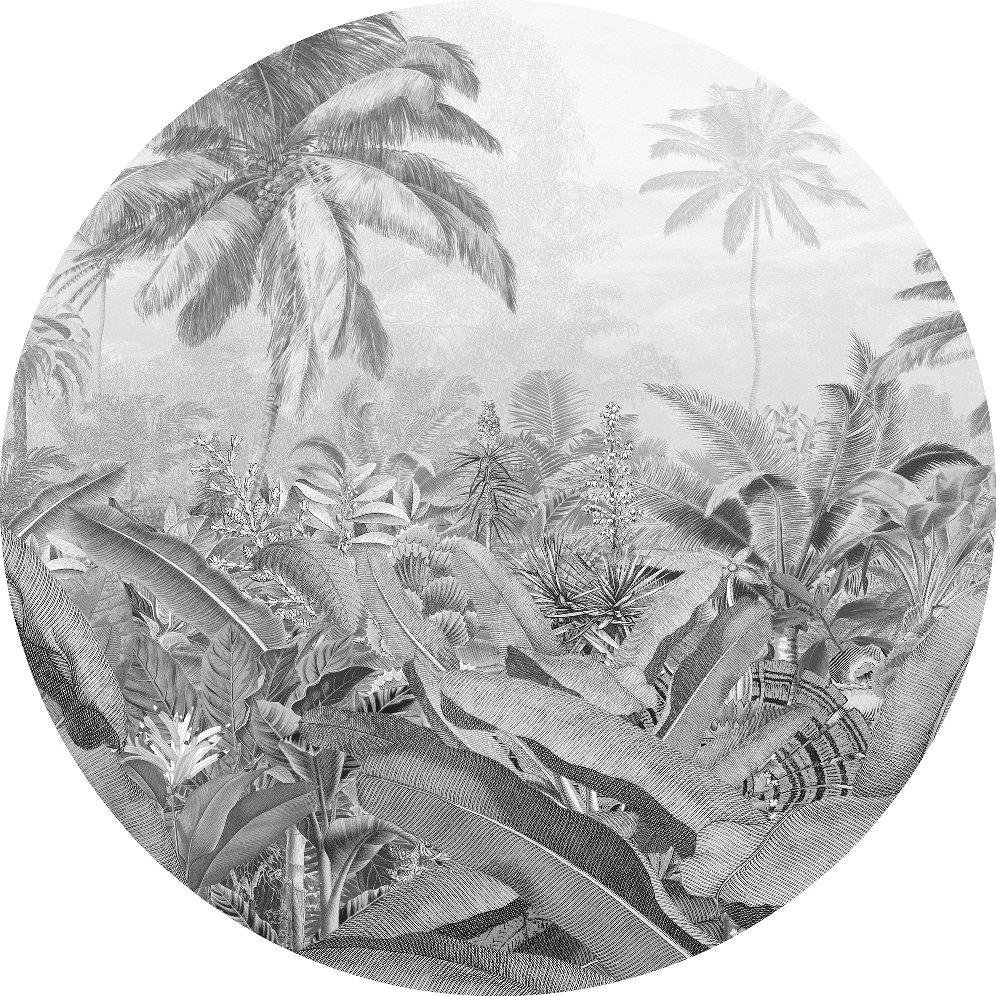 Fototapete KOMAR "Amazonian Spirit", grau, B:125m H:125m, Vlies, Tapeten, Fototapete