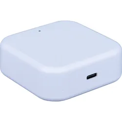 SOREX WG101000 - Bluetooth WLAN Gateway für SOREX BH102000
