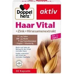 DOPPELHERZ Haar Vital+Zink+Hirse Kapseln