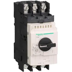 Schneider Electric GV3P406 Motorschutzschalter, 3p, 30-40A TH.MAG. RING