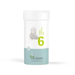 Biochemie Pflüger Schüßler-Salz Nr. 6 Kalium sulfuricum D6 100 g