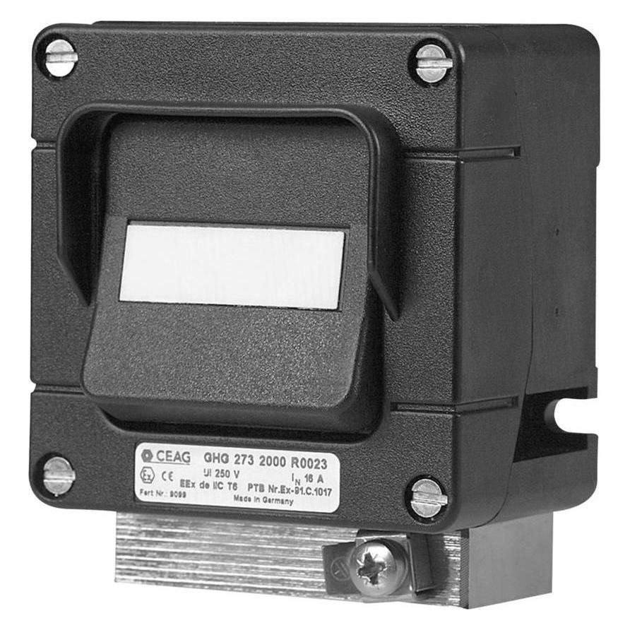 Ceag Ausschalter (GHG2732000R0017)