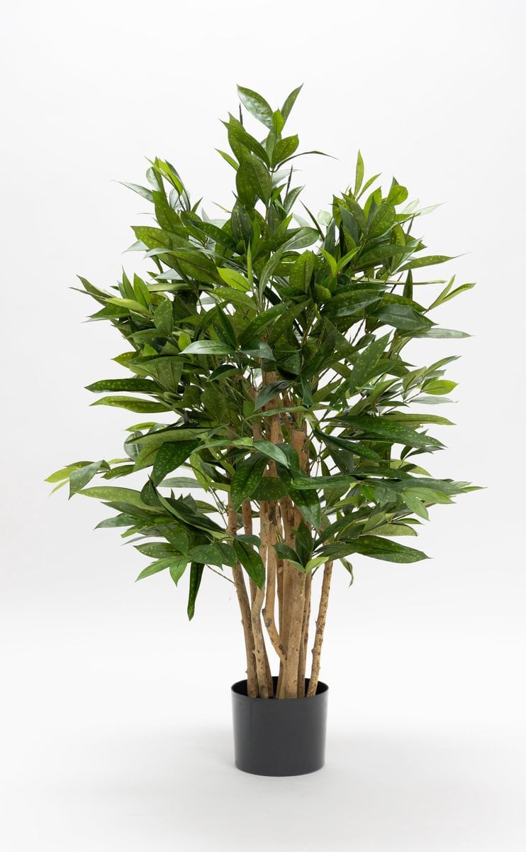 PrettyPlants Dracaena Surculosa Kunstplant, Groen, Hoogte: 120 cm