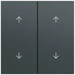 Gira Wippe Serien Schalter anthrazit lackiert 329773 Pfeile