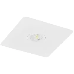 Fischer Sicherheitsleuchte BQE315SC.V2