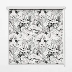INNENROLLO - Fensterrollo - Rollo - 100x140 cm - Gezeichnete Katzen